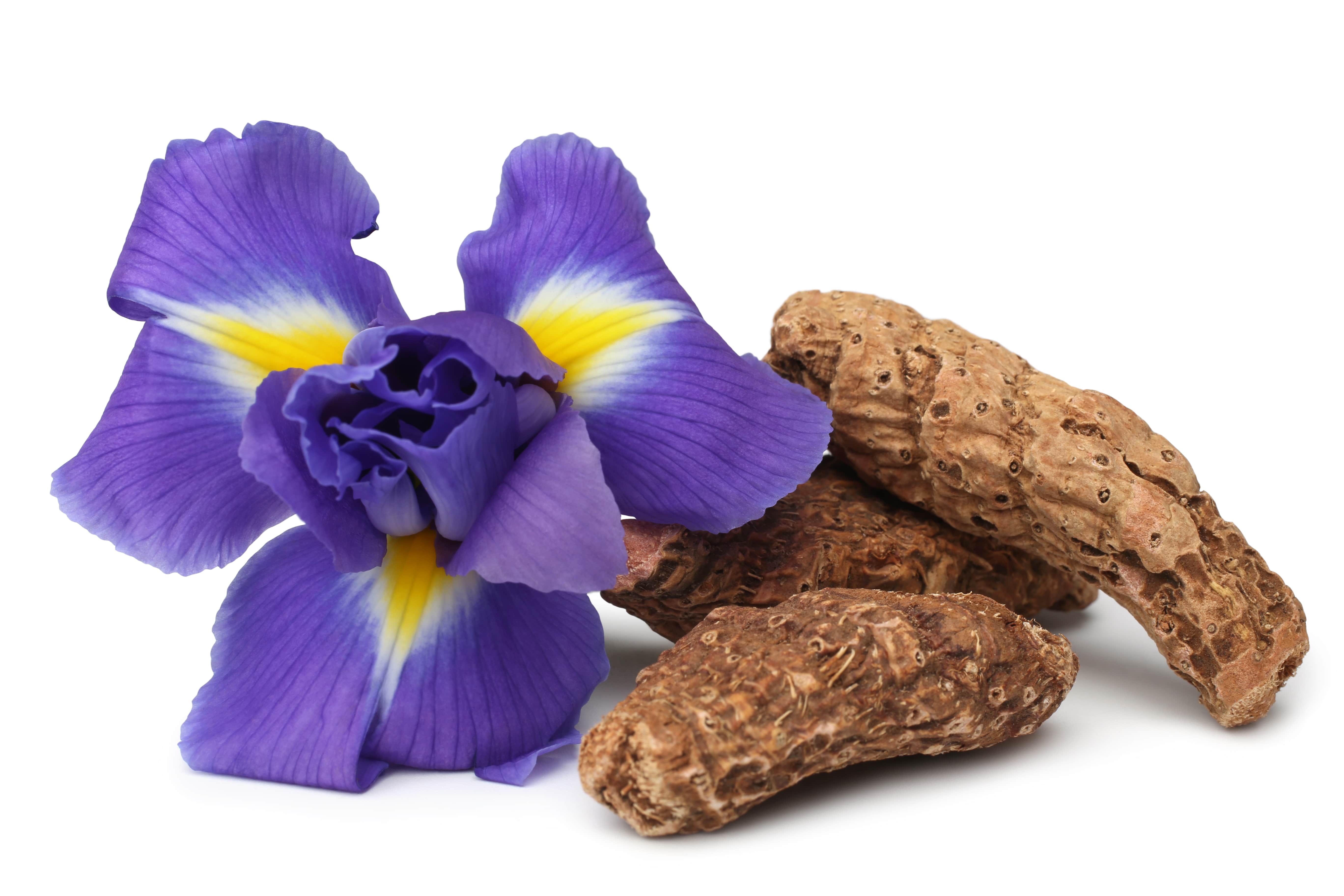 ScenTree Orris Root Butter CAS N 8002 73 1